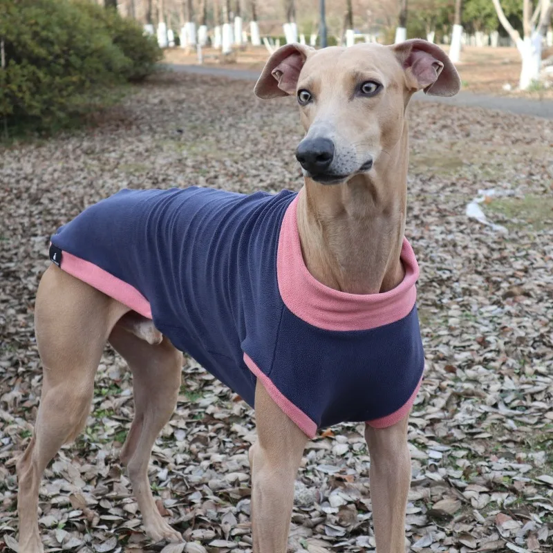 Autumn and Winter Warm Coral Fleece Turtleneck Contrasting Vest Pet Dog Clothes Suitable for Dogs with A Slender Build