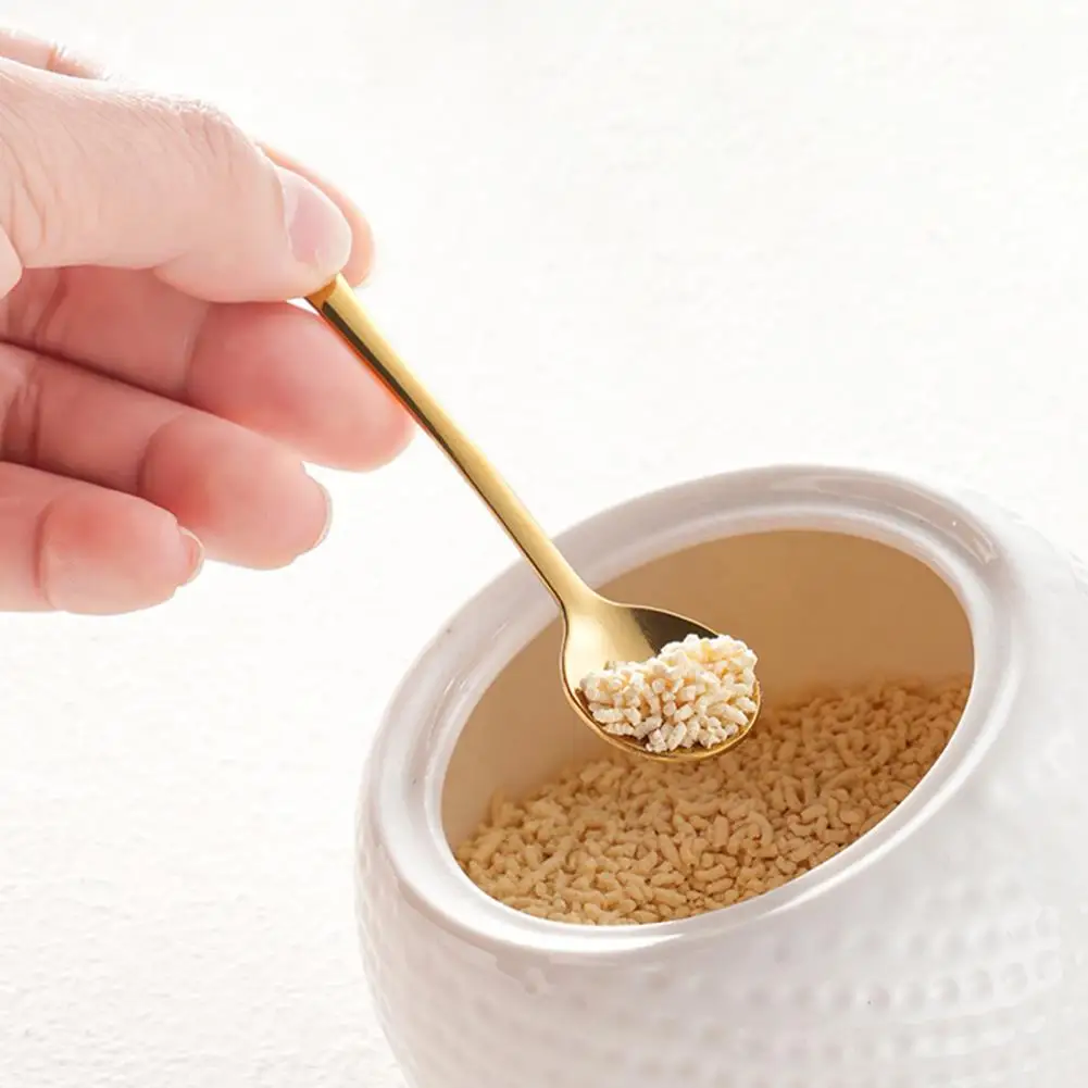 Compact Mini Spoons Set of 6 Mini Stainless Steel Spoons for Salt Spice Jars Portable Seasoning Spoon for Powder for Seasoning