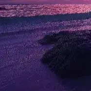 

Промышленная швейная машина, компьютерная, полностью автоматическая, модель B-0313-D3