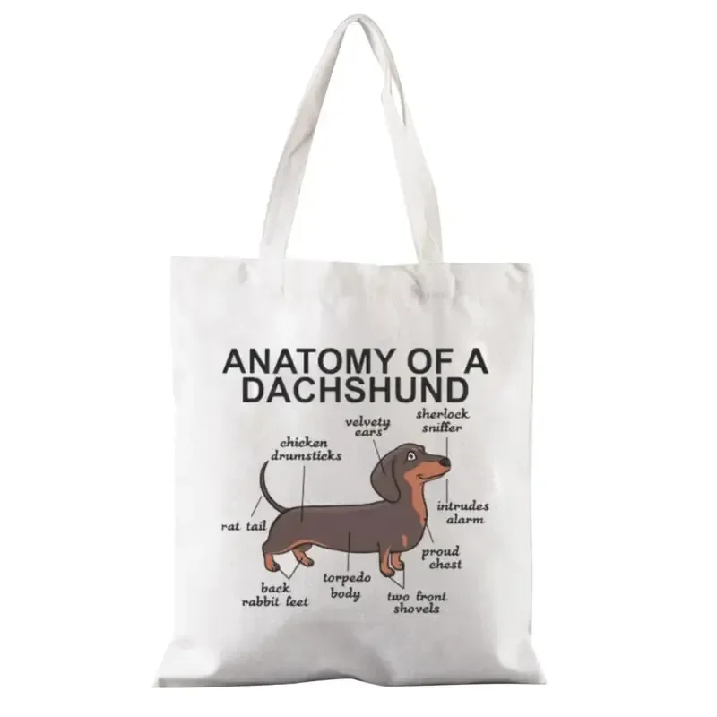 Cute Dachshund Funn… - image