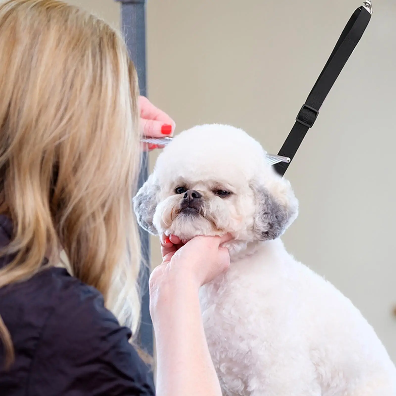 Dog Grooming Loop Heavy-Duty Suction Rope Groomer Helper For Bathing Nail Trimming Restraint Home Pet Care Salon