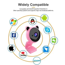 Full HD Pink Webcam 1080P HD Camera USB Webcam Web Camera With Built-In Microphone Video Camera Focus Night Vision Computer