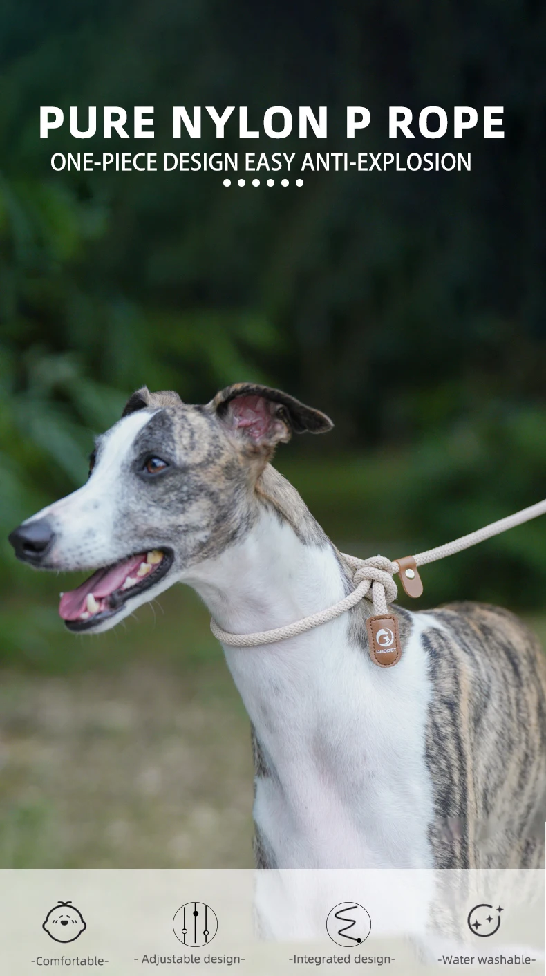 Kleine Hundeleine, multifunktionales Haustierhalsband, Leine, Seil, Taille, Umhängeleinen, Hundegehübung, Laufen, einfache Kontrolle – Detail 1