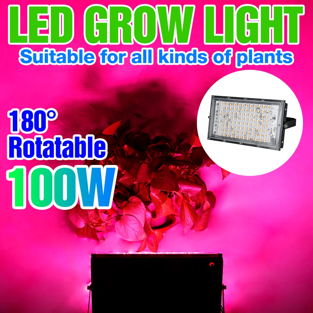 ไฟ LED 50W 100W Phyto โคมไฟเต็มสเปกตรัม Phytolamp สําหรับพืชเรือนกระจกกันน้ํา Grow Light Hydroponics ปลูกระบบ