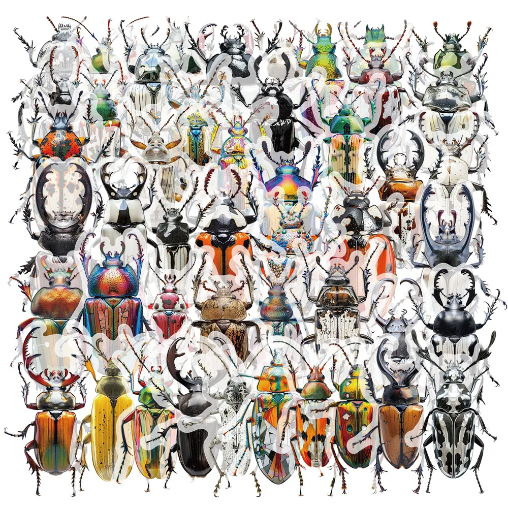 50PCS Beetle Encyclopedia Stickers, Insect Recognition Enlightenment, PET Plastic Decoration, DIY Bookkeeping Material Stickers