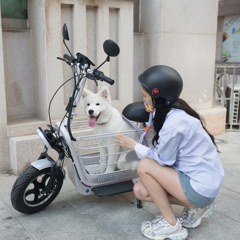 

Pet Stroller Pet Carriage Parent-child Electric Bicycle Manufacturer