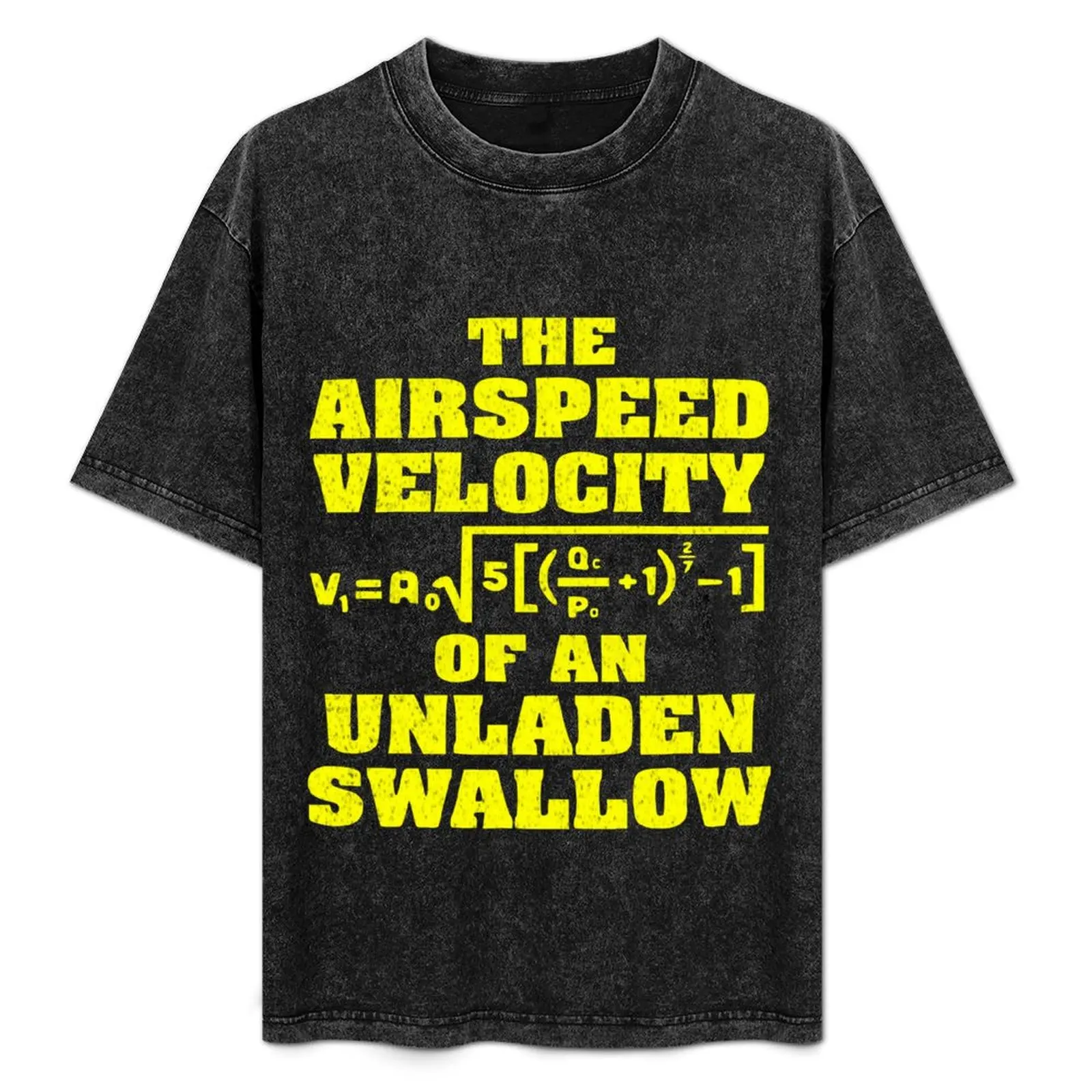 

The Airspeed Velocity of an Unladen Swallow - A Math Formula T-Shirt graphic t shirts big and tall t shirts for men