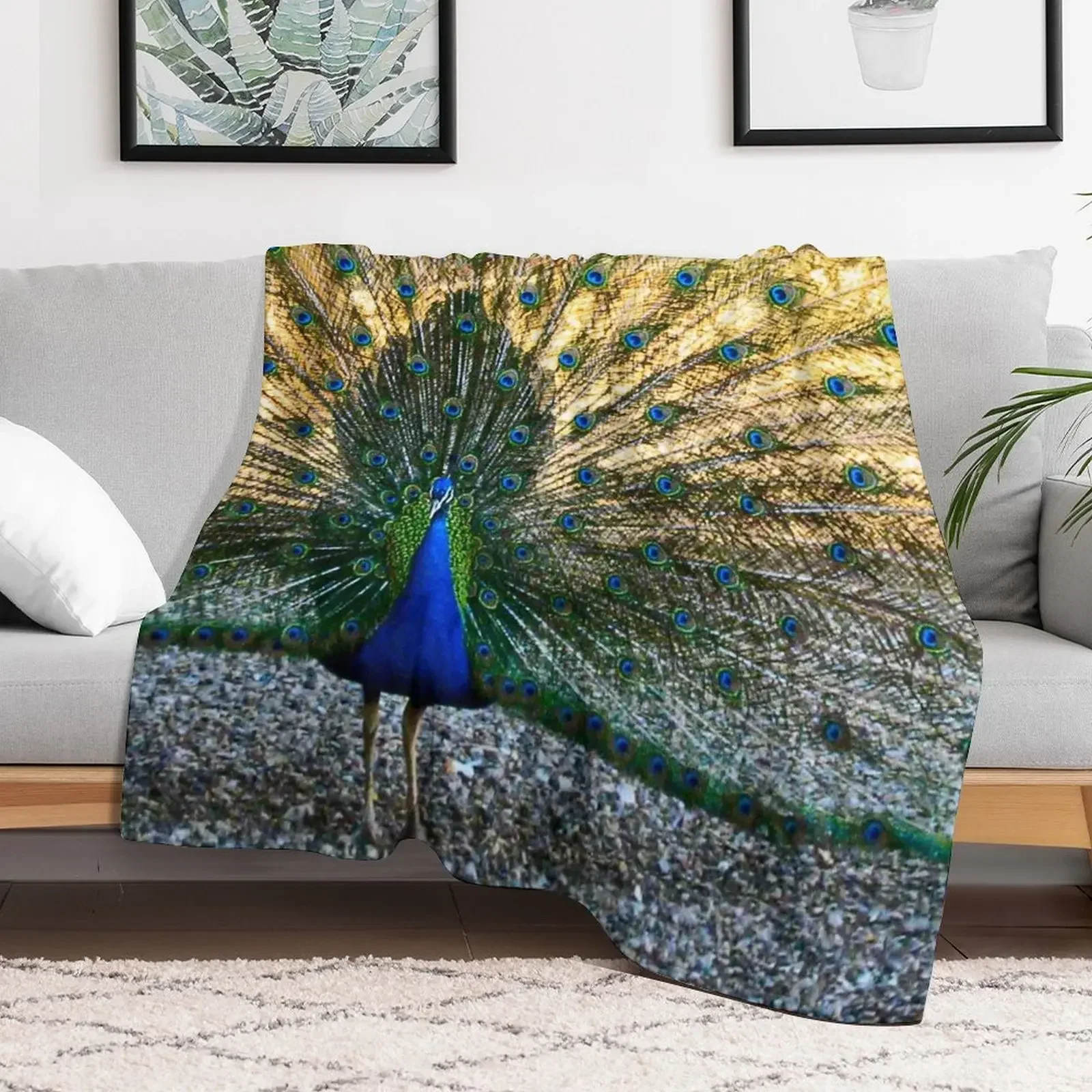 

Peacock Throw Blanket warm winter Travel Hair Blankets Sofas Of Decoration Blankets Soft Plaid manga Sleeping Bag Blankets