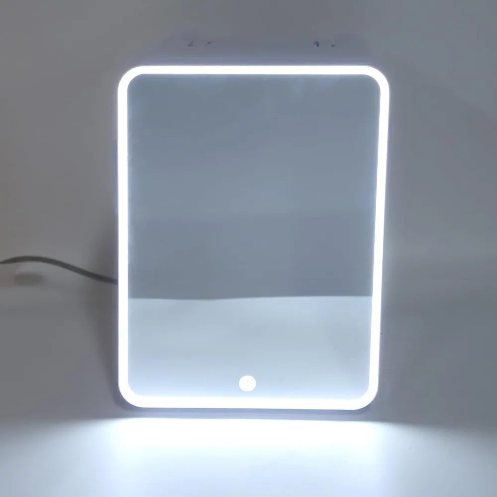 ثلاجة صغيرة للعناية بالبشرة، ثلاجة تجميل صغيرة محمولة سعة 10 لتر مع مرآة LED قابلة للتعتيم للتبريد والمكياج/العناية بالبشرة