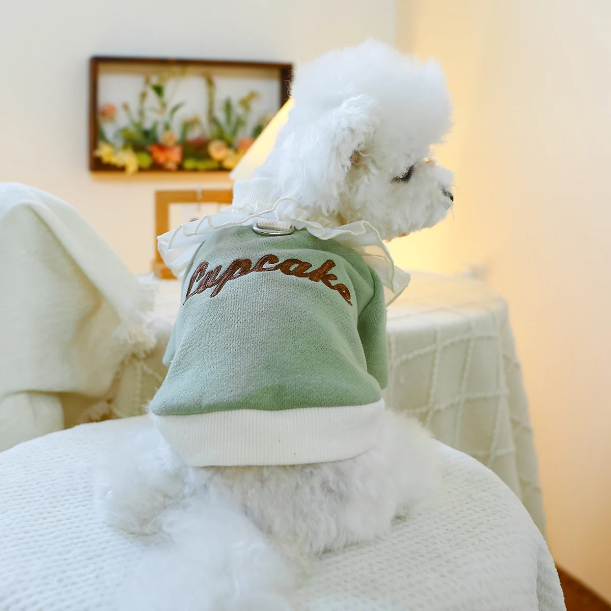 1PC Pet Clothing Cat Spring Autumn Plush Thickened Green Cake Lace Pullover Round Neck Shirt Suitable for Small and Medium Dogs