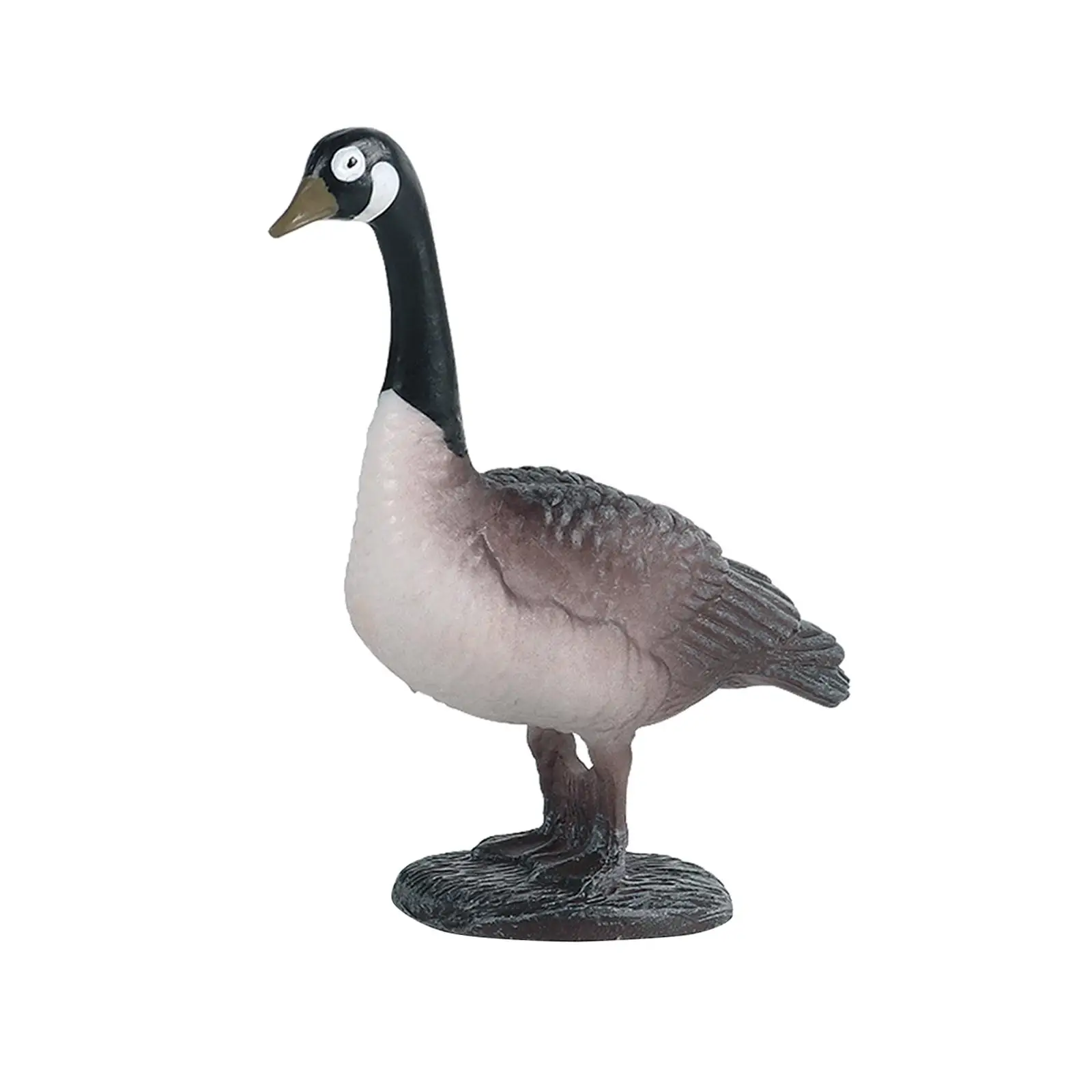 Miniature Animals Birds Model Figurine Statue Scuplture Toy , Black,