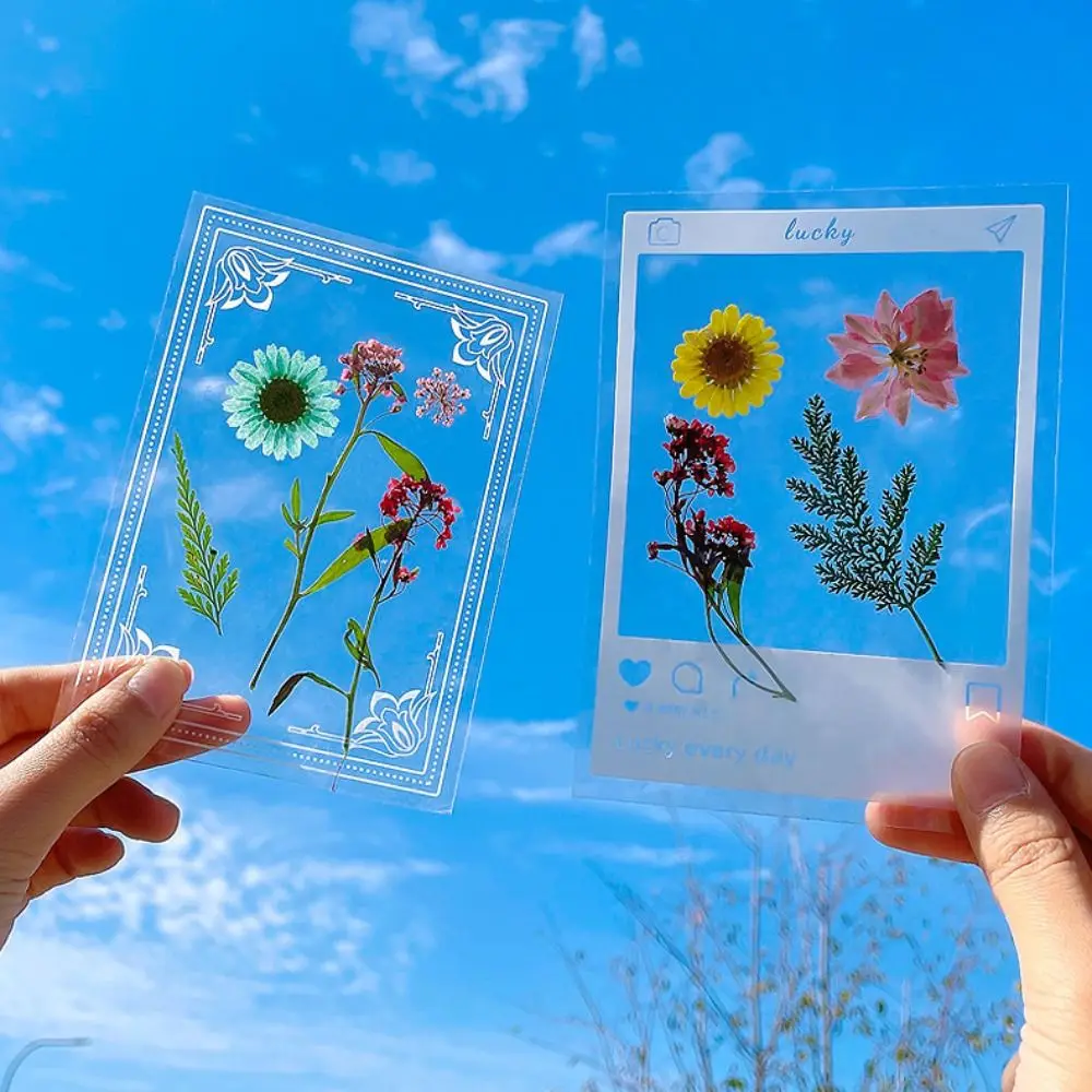 Handmade flores secas Bookmarks para crianças, DIY materiais, pressionado flores secas adesivos, Pet Herbarium, página Bookmark