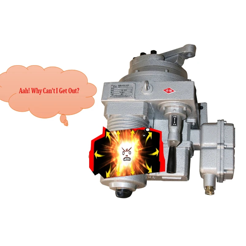 ExdIICT4 المحرك الكهربائي المقاوم للانفجار من سلسلة DKJ #5