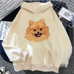 Pomeranian hoodies women gothic japanese graphic Fleece clothes women Winter  tracksuit