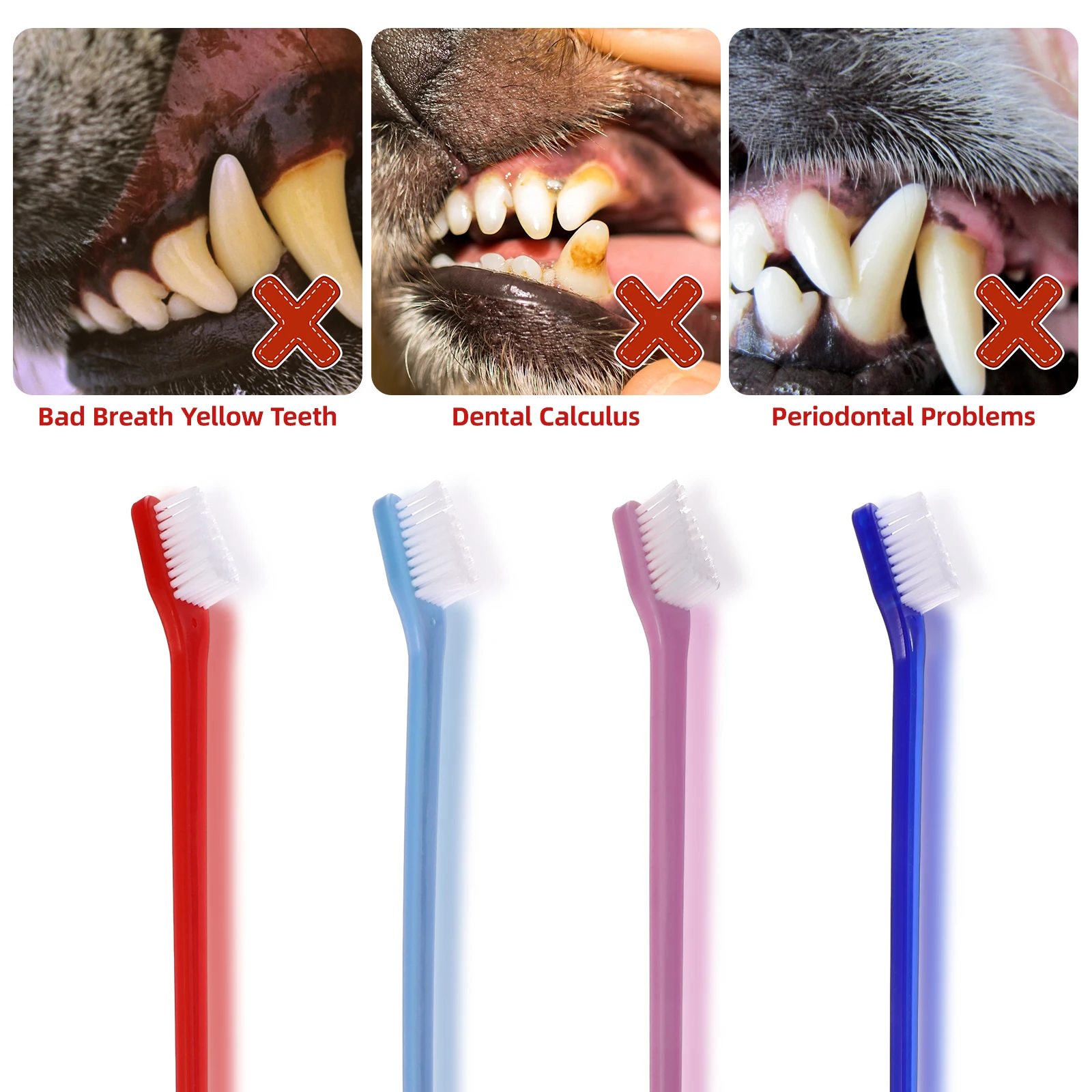 

12 Pcs Pet Oral Cleaning Toothbrush Set for Dog Toothbrushes Double Sided Doggie Suite