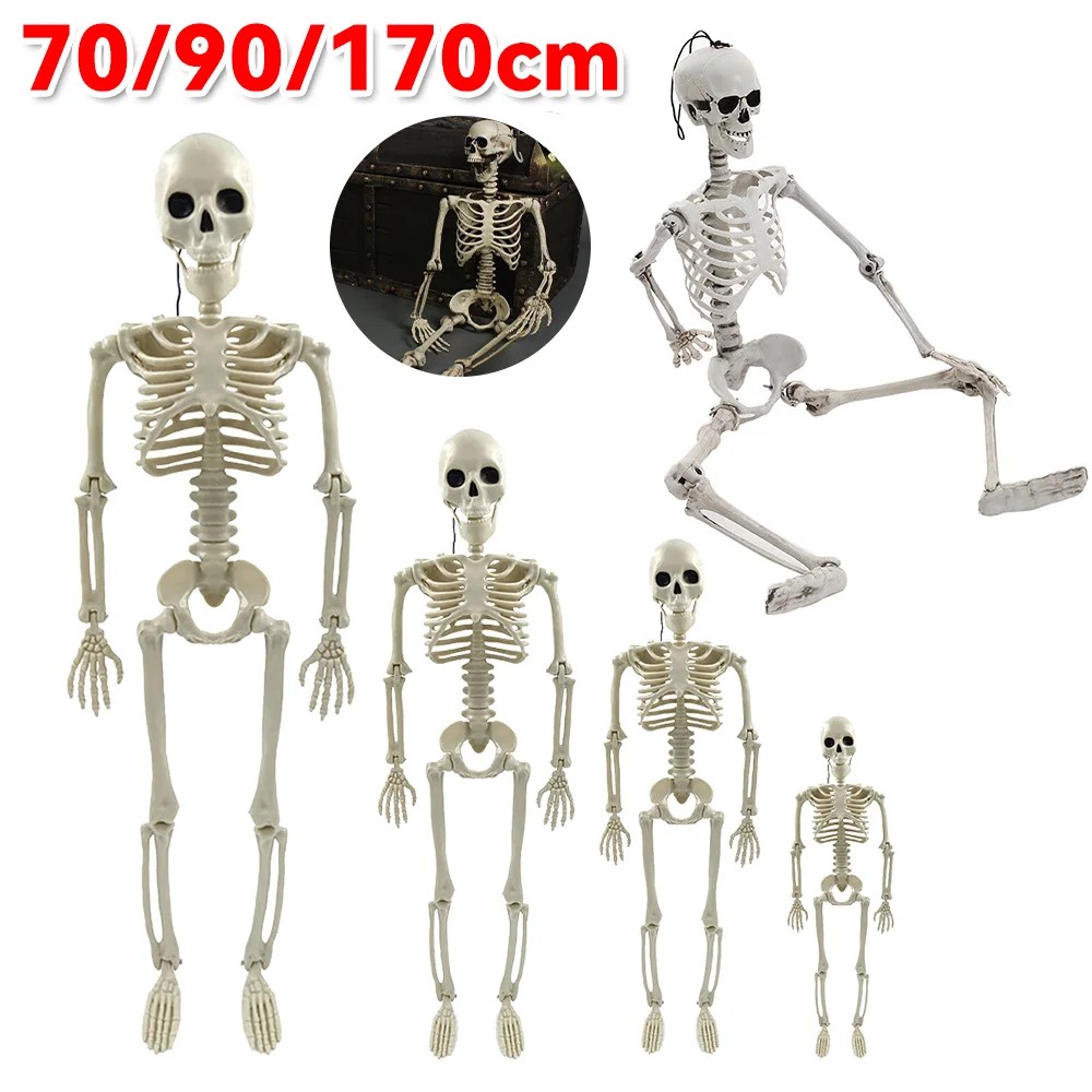 

Halloween Decorative Skull Sculpture Movable/Posable Joints Human Skeleton Figure Full Size for Yard Garden Patio Haunted House