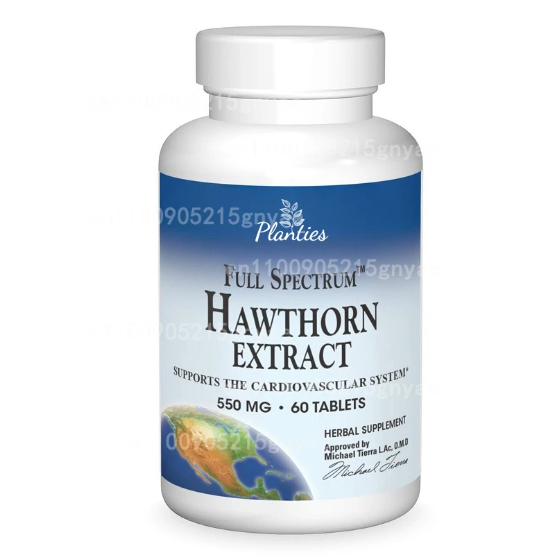 

Hawthorn Berry Extract Capsule - Supports Digestive Health, Promotes Energy Production, Blood Circulation, and Boosts Immunity S