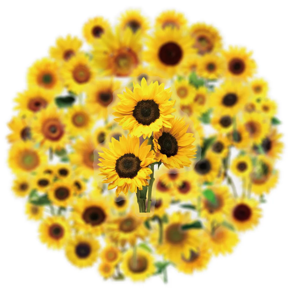 50PCS Sunflower กันน้ําโปร่งใสดอกไม้สติกเกอร์ตกแต่งโน้ตบุ๊คกีตาร์ถ้วยน้ํากระเป๋าเดินทาง Graffiti ของเล่นเด็ก