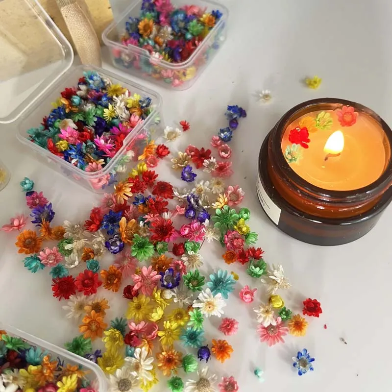 1 CAJA pequeñas mini flores secas coloridas pequeñas flores secas de Gypsophila para velas, jabón, resina, manualidades
