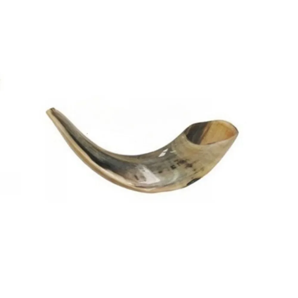 Authentic Jewish Rams Horn Shofar - Small Size with Beautiful Natural Horn Texture for Rosh Hashana Decorations