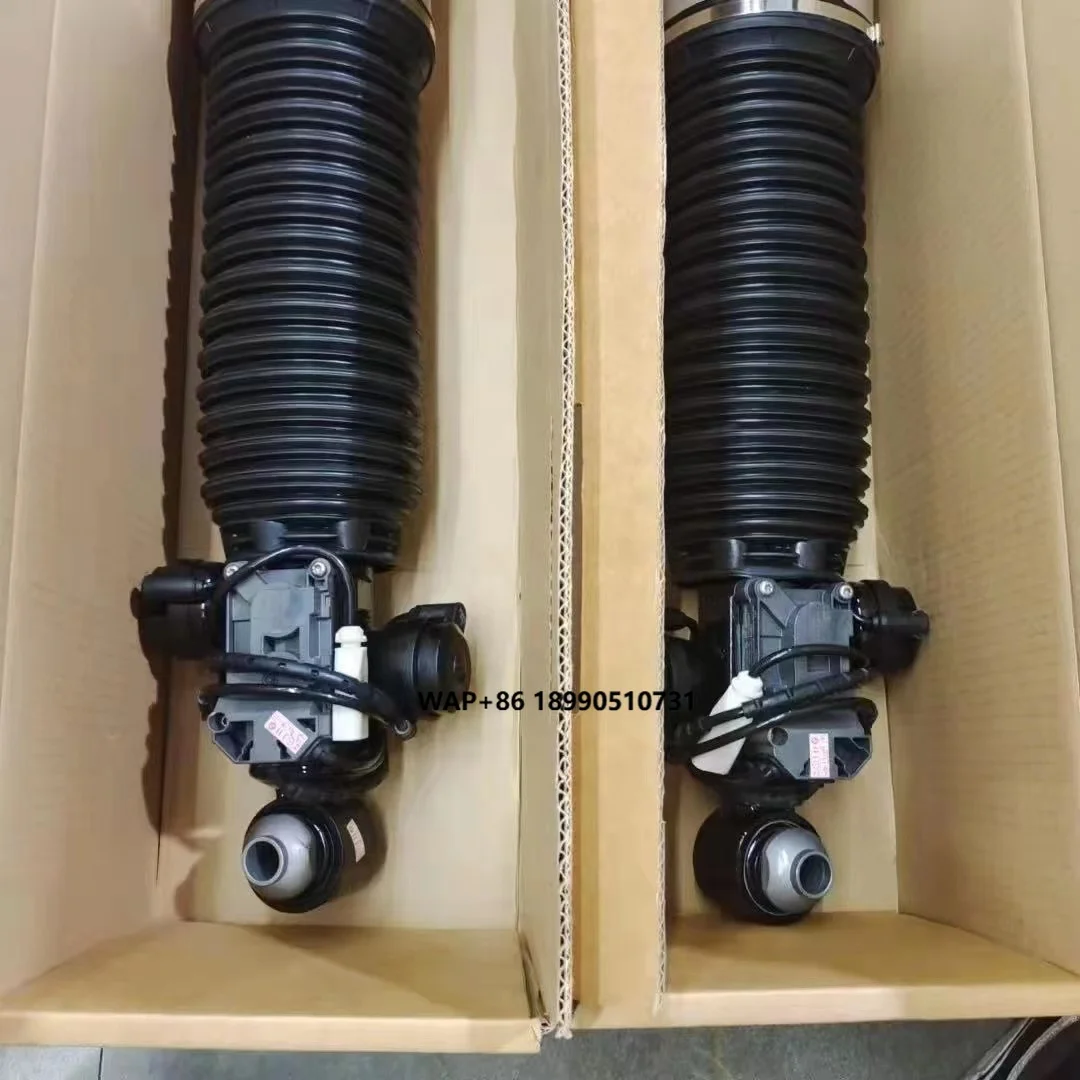 

Genuine Auto Part Rear Schock Absorbers for VW