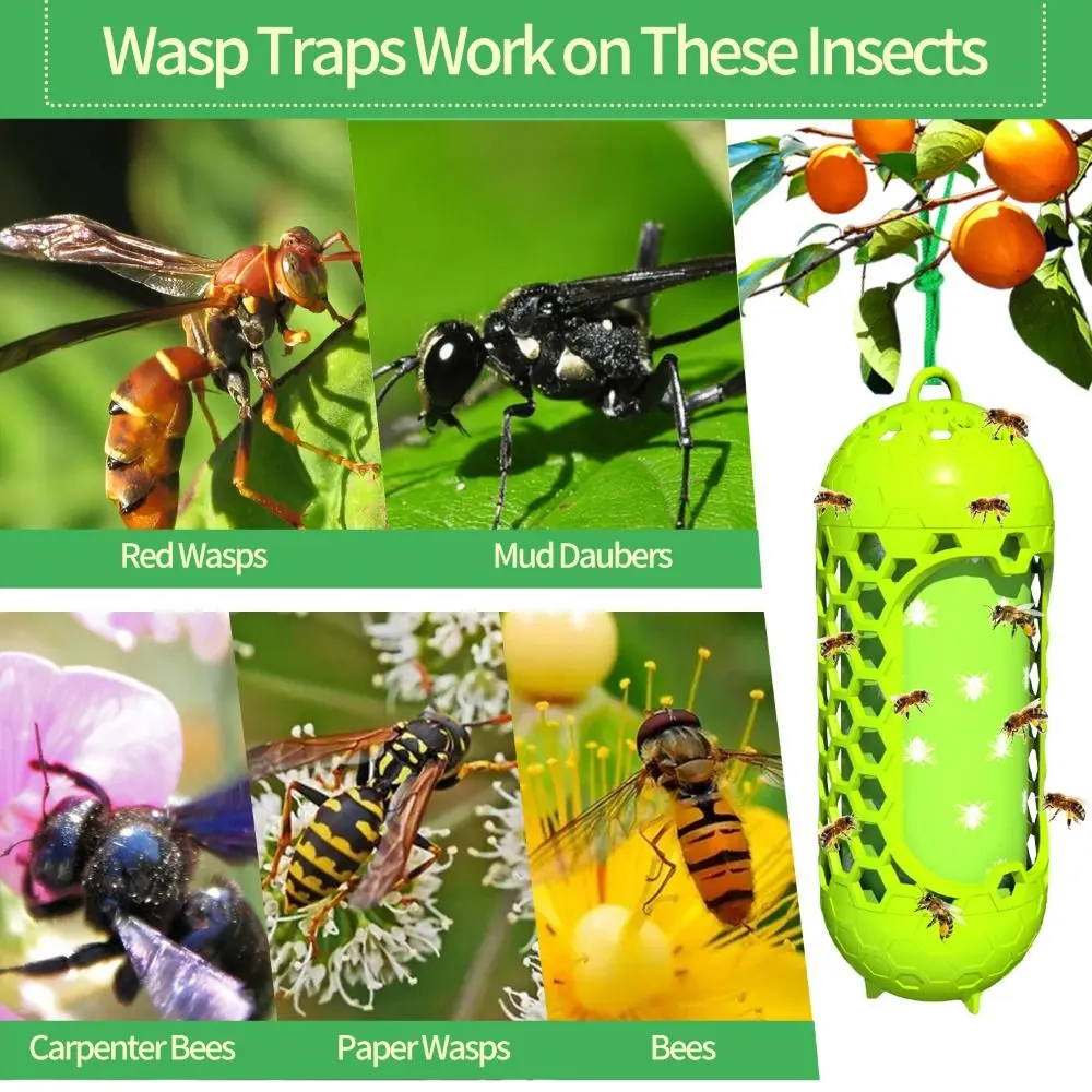 

2pcs Outdoor Hanging Bee Traps Catcher Non-Toxic Safe Insects Bug Trap Durable Lantern Shaped Carpenter Bee Sticky Traps
