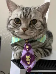 Anime JoJo's Bizarre Adventure Mini Pet Dog Cat Tie Cosplay Giorno Bruno Jotaro Animal corbata accesorios de Navidad