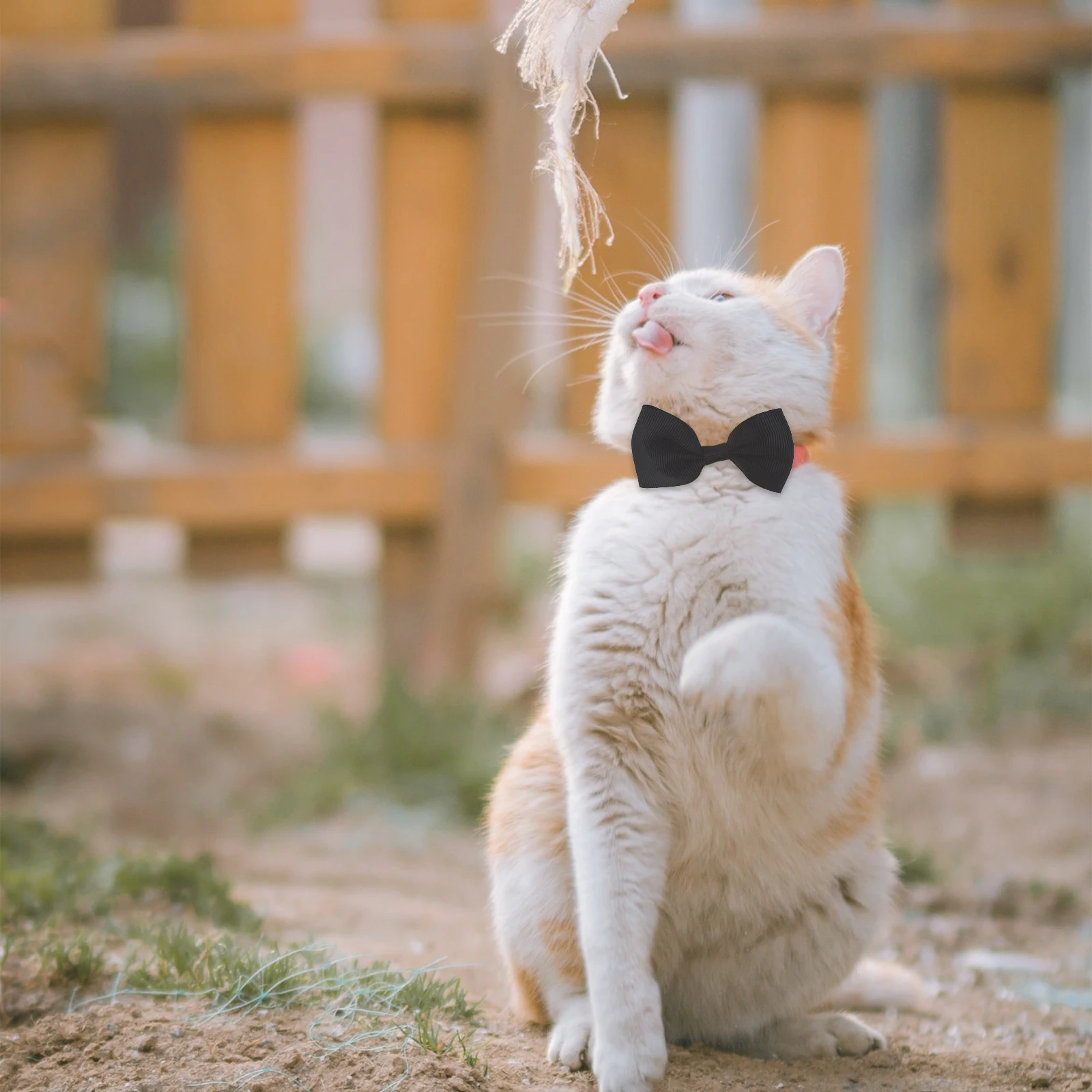 

1Set Pet Witch Hat Bowtie Decorative Halloween Costume Accessory Festival Party Dog Cat Costume Gift Pet Witch Hat