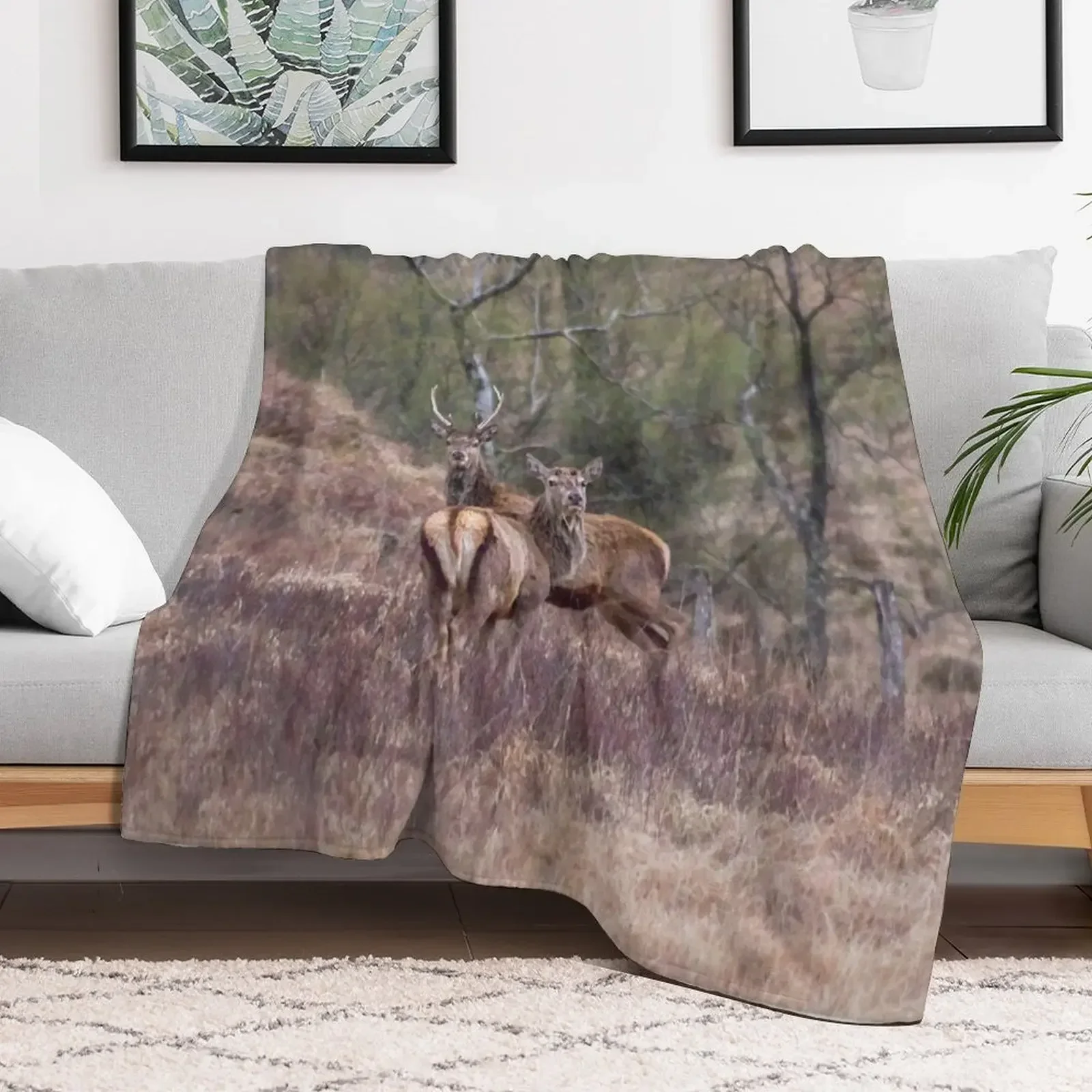 

stags in the Scottish Highlands Throw Blanket christmas decoration Decoratives Stuffeds Blankets