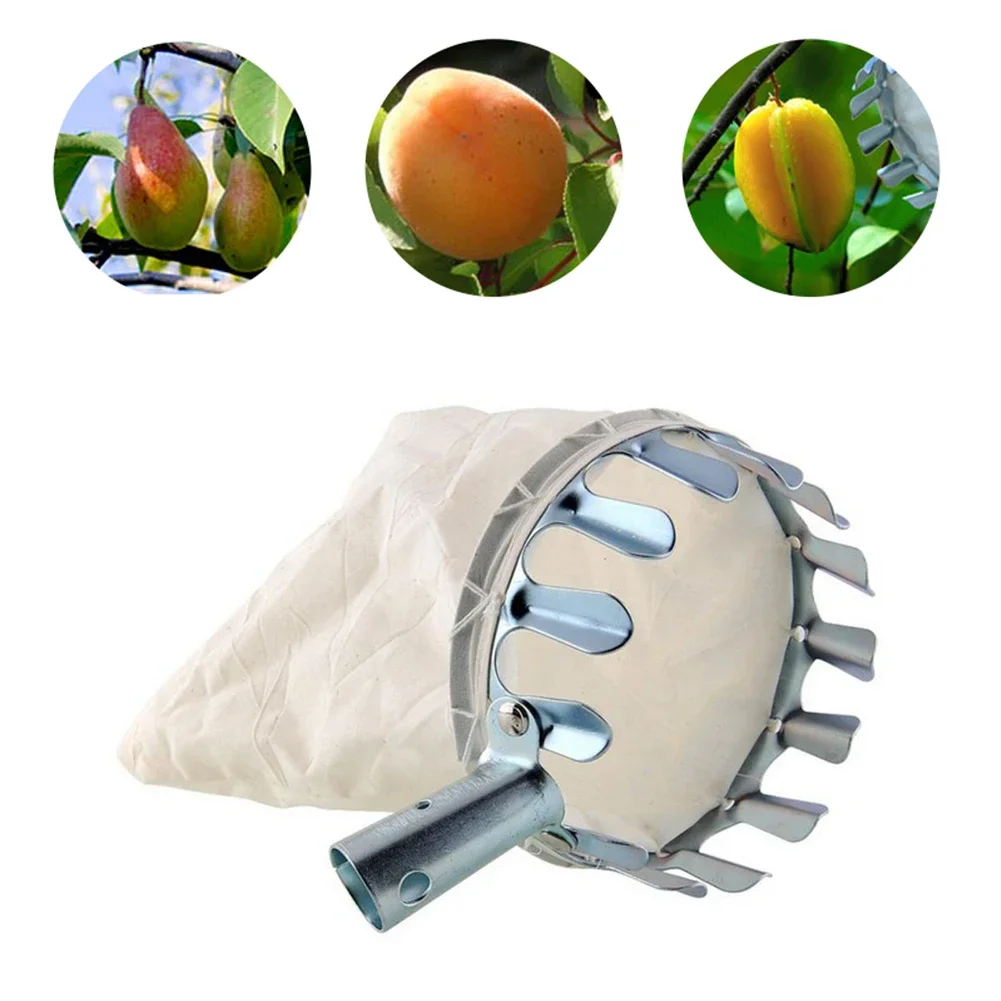 Detachable Fruit Picker Head – Orchard Harvesting Tool for Apples, Pears Oranges | High-Tree Fruit Catcher Pouch with Collector