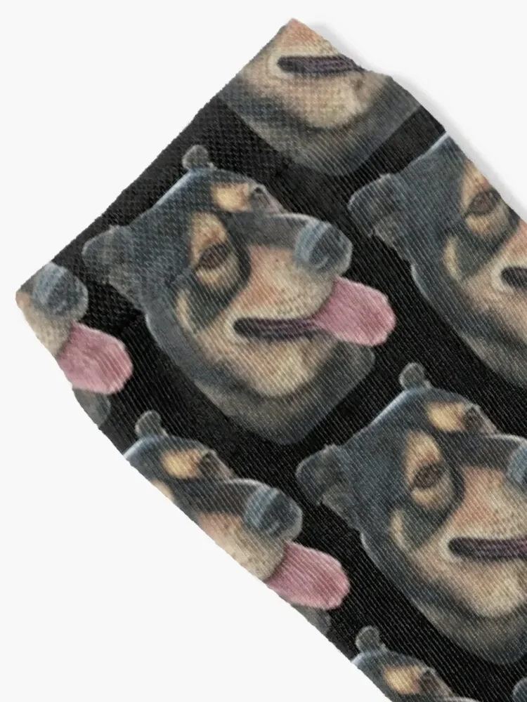 Rocco the big friendly dog Socks cool Men's with print Socks Woman Men's