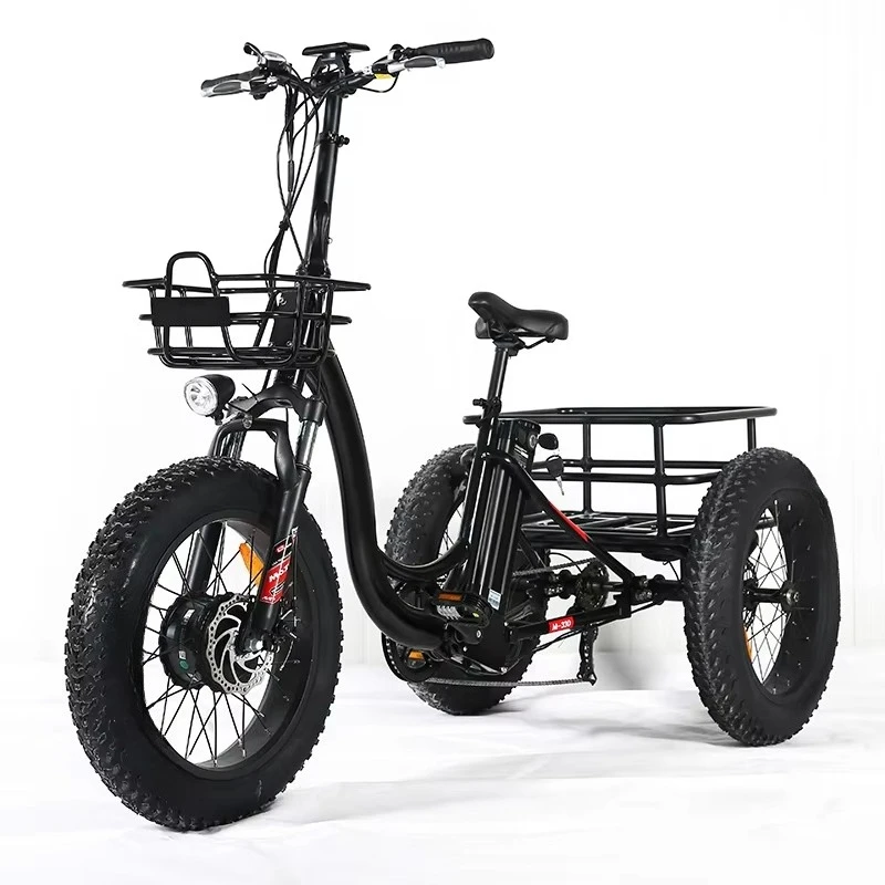 BRThree Wheel Cargo Ebike 48v 500w 750w Front Wheel Hub Motor Electric Tricycle