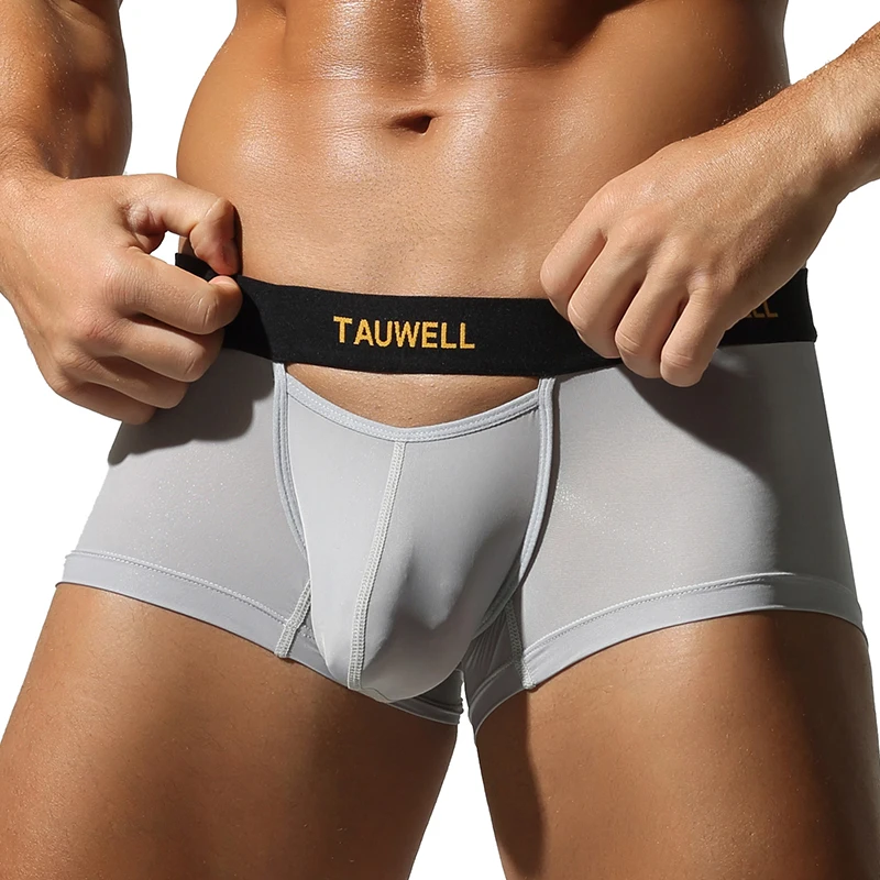 TAUWELL Men's Underwear Comfortable Cool Thin Sexy Semi-Transparent Flat Angle Pants with U-Shaped Pouch Briefs