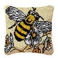 W-BZ2065-43-43