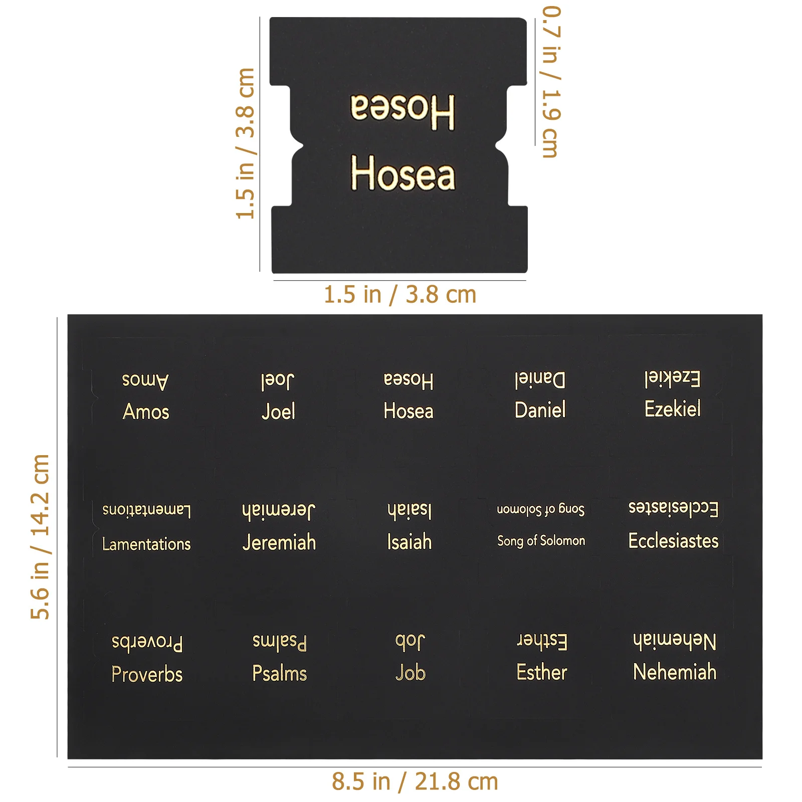 5 Sheets Bible Index Tabs Book Tabs Adhesive Bible Study Supplies Clear Font Section Markers Book Accessories