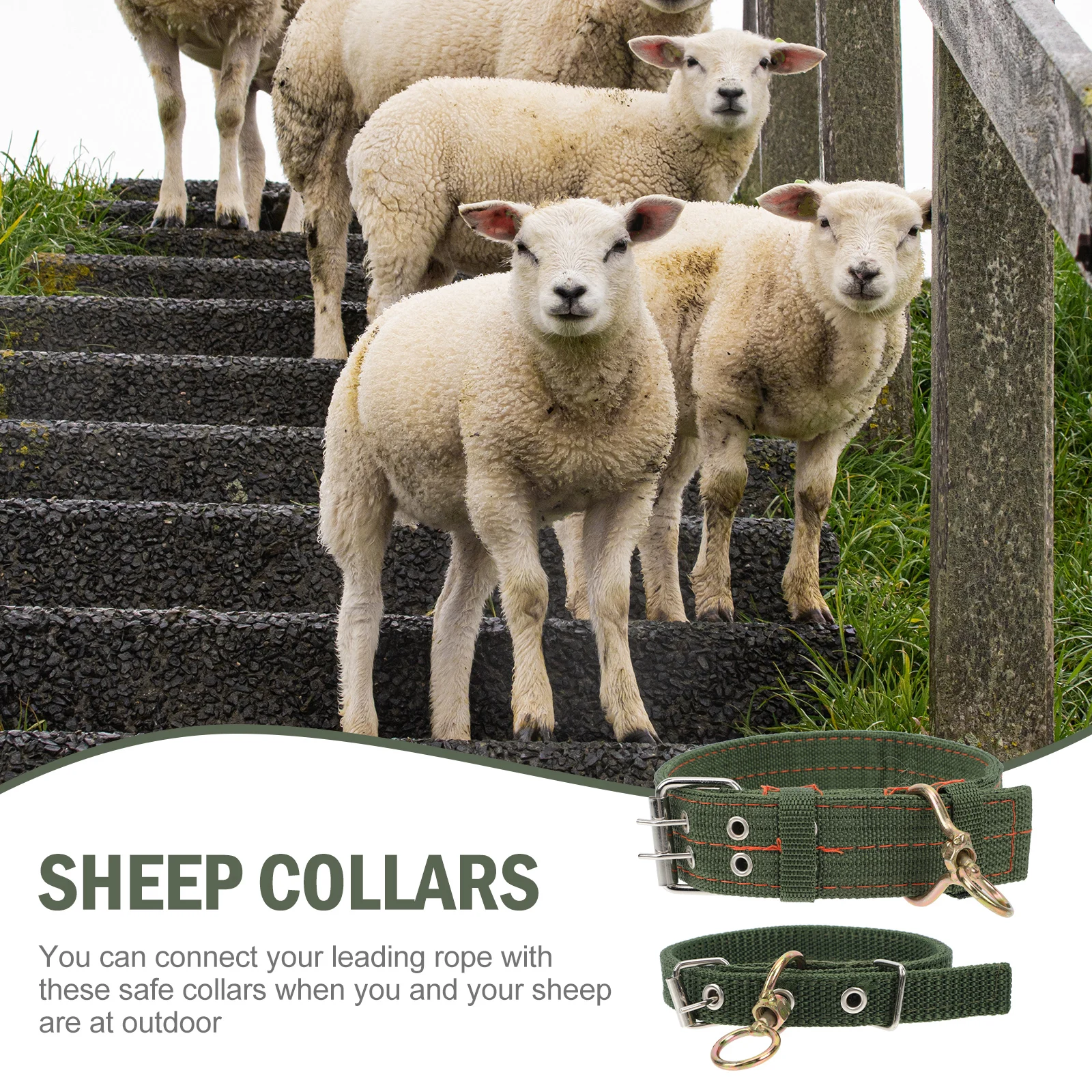 

Sheep Collars Green Canvas Adjustable Durable Rotating Ring Farm Animals Pets Collar Livestock Supplies Dog Leash