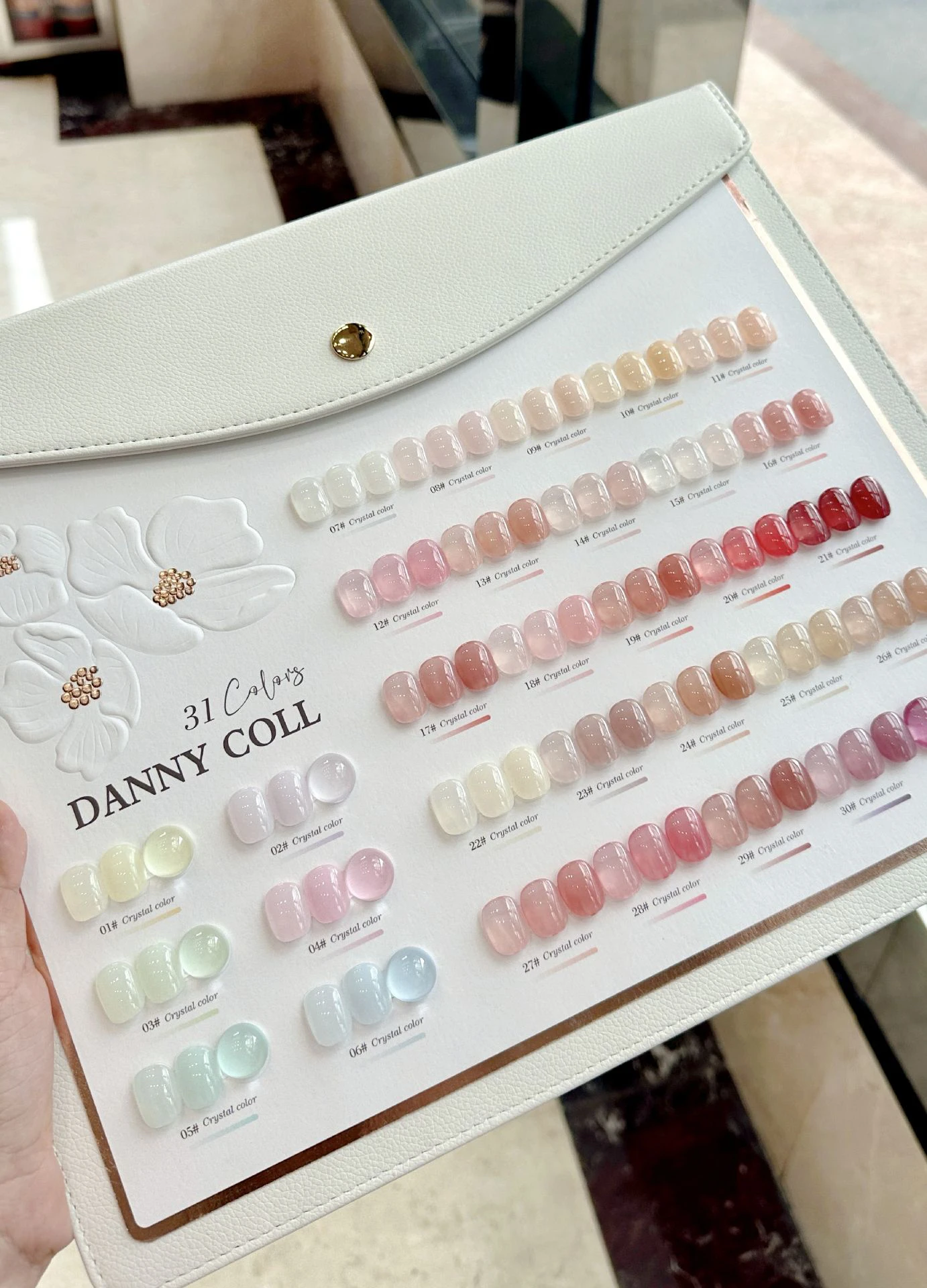 DANNY COLL 2025 New Hot Sale 31 Colors Jelly Color Nail Gel Set HEMA-Free TPO-free Non-Toxic UV Gel Kit for Nail Salon Wholesale