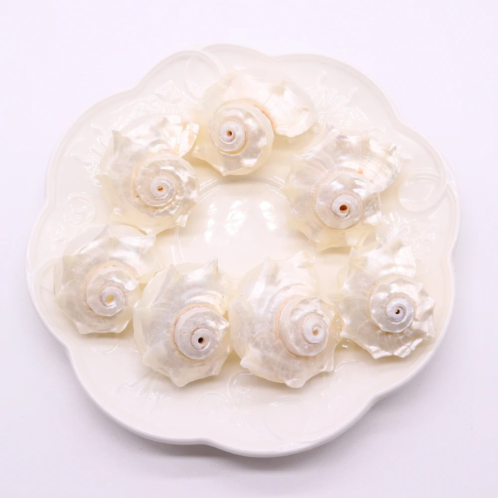 Natural Conch Shell White Necklace Pendant Home Decor Snail Mother of Pearl Shell Pendant for Jewelry Making DIY Accessories