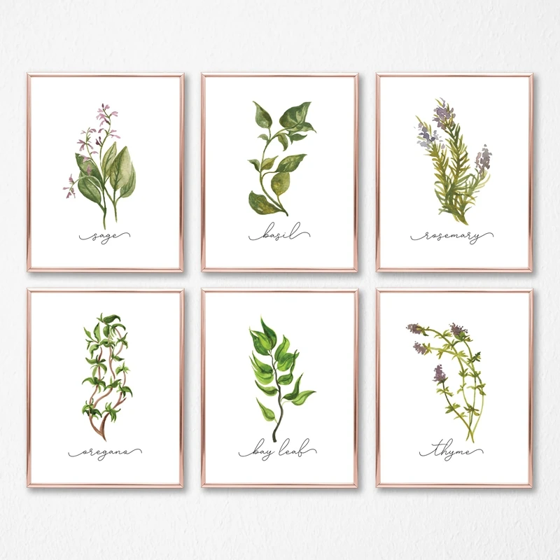 Herb Collection Wall Art Canvas Posters Painting Oregano Sage Rosemary Basil Thyme Watercolor Wall Picture Print Kitchen Deco
