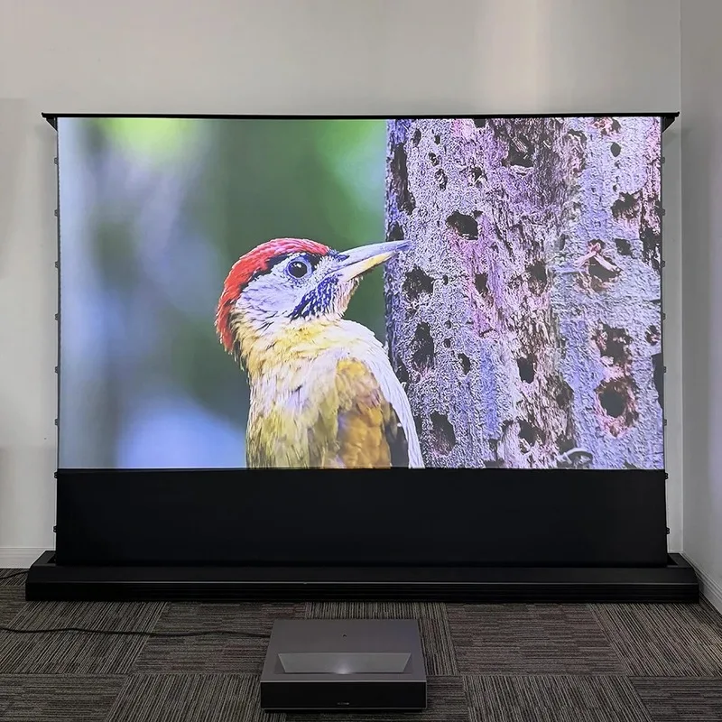 motorized projector screen