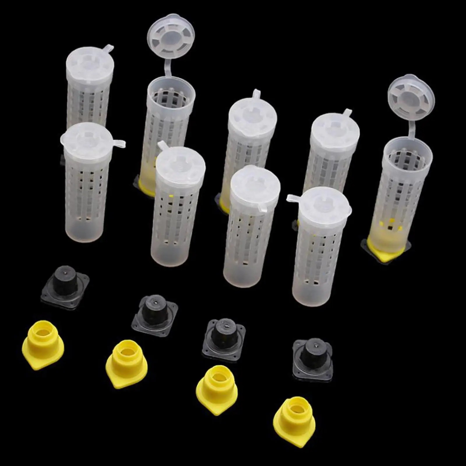

Bee Queen Rearing System Kit Complete for Bee Breeding Beekeeping Cell Cups