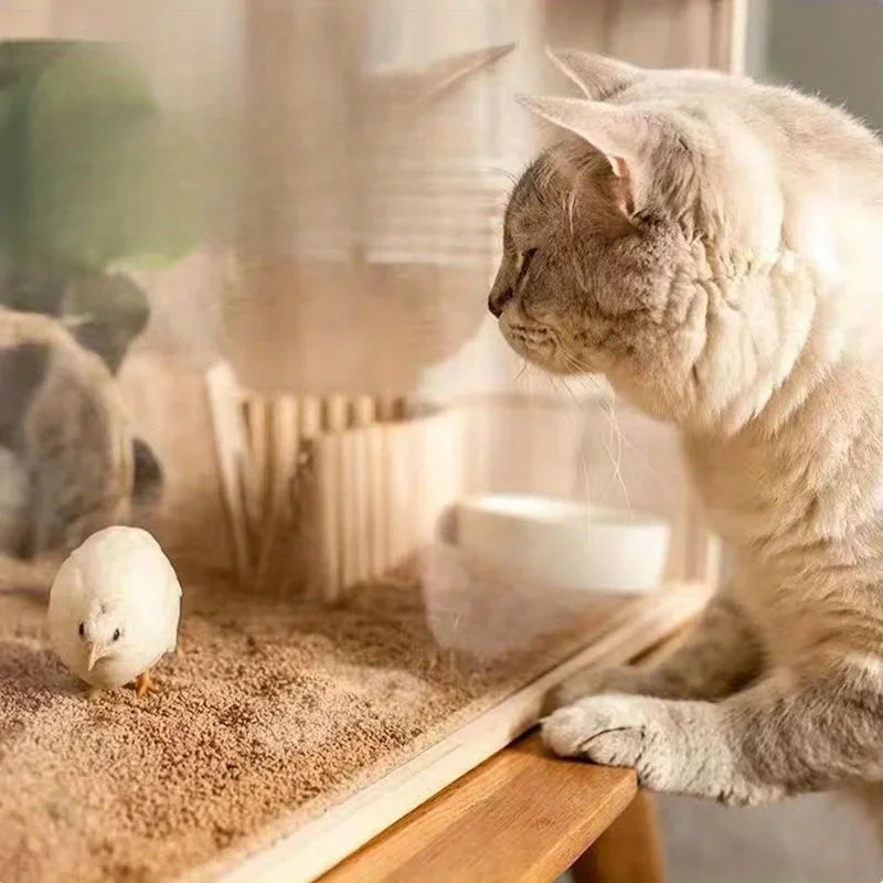 Thumbnail 4 - #37 Hamster Habitats List of Top Picks
