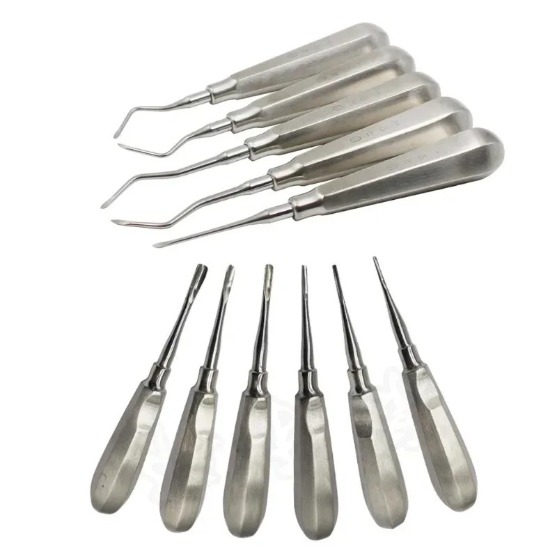 Dental Elevator Kit Straight Curved Dentistry Tooth Extraction Surgical Cryer Stump Apex Root Elevator Stainless Steel Lab Tools
