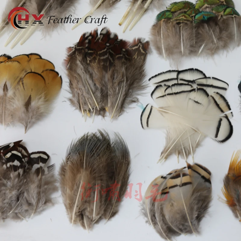 Wholesale Natural Pheasant Peacock Feathers Small Eagle Chicken Plumes Ostrich Decor DIY Handicraft Accessories Jewelry Creation