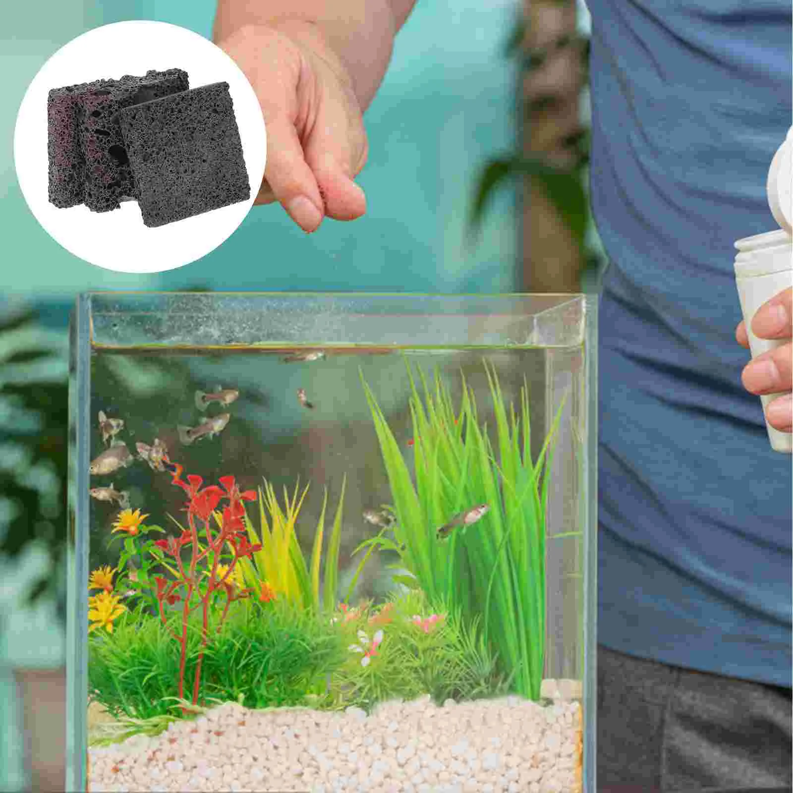 3 Pcs Water Grass Planting Slabs Natural Volcanic Rock Decor for Fish Tank Rapid Growth Moss Easy Planting Aquarium