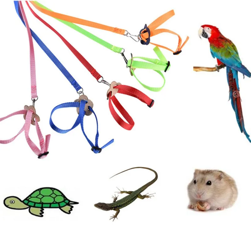 1Pcs Small Pet Leash Outdoor Adjustable Training Harness Traction Rope Bite Flying Band for Pet Birds Parrot Bird Lizard Leashes