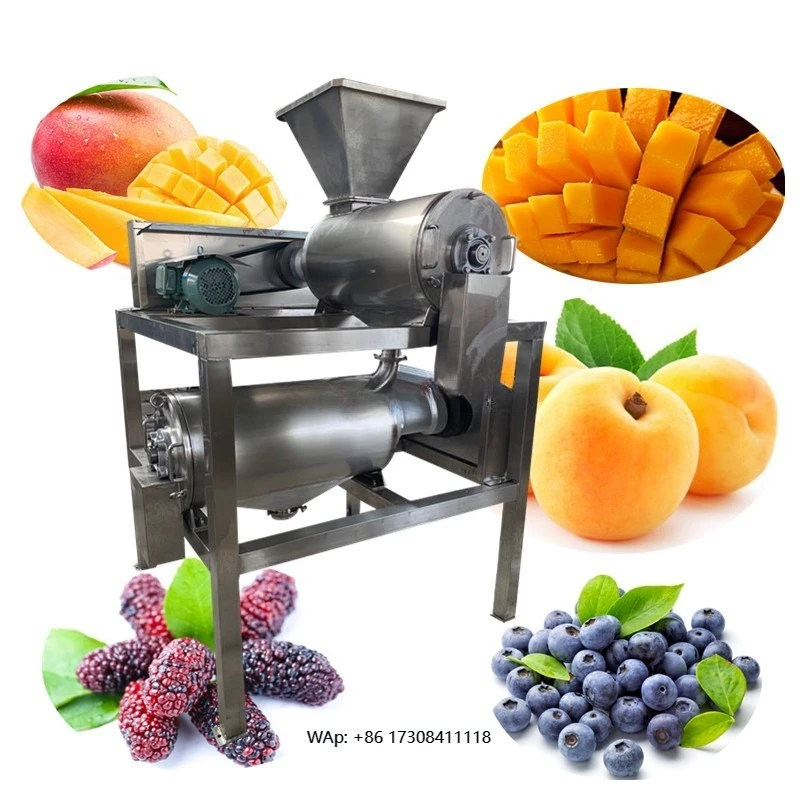 Mango Peach Tomato Pulper Seed Cleaner Beater
