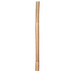 20 Pcs Plants Bamboo Stakes Poles Sturdy Plant Supporting Fixing Stake for Garden Potted Plants Use