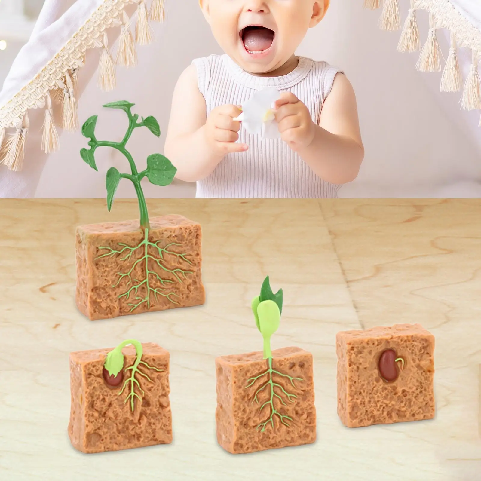 

Зеленое растение с жизненным циклом, научная игрушка, развивающая игрушка, фигурки растений с жизненным циклом для мальчиков, девочек, детей, искусственные сувениры