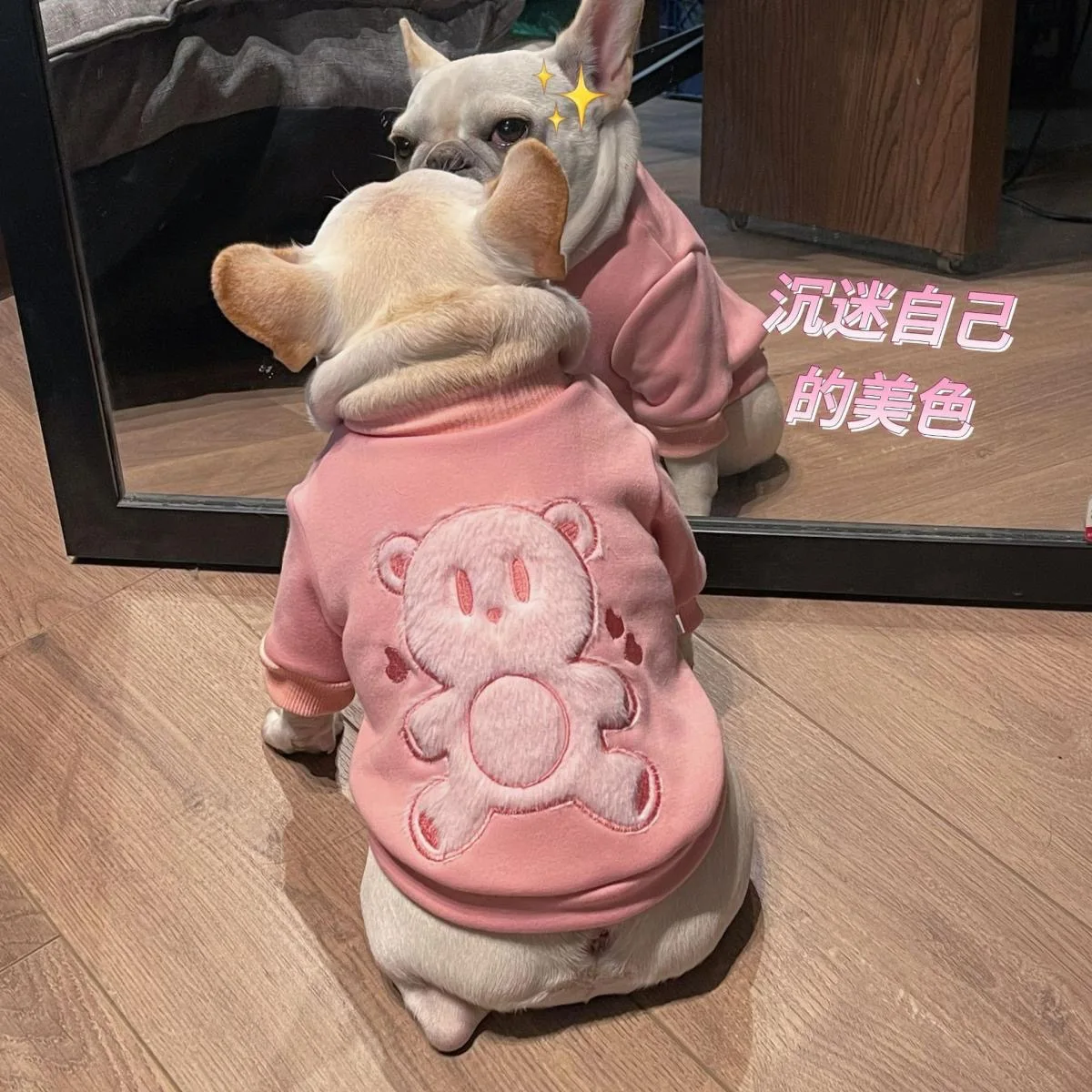 

Fadou Bago Pullover Small Dog Clothes Schnauzer Teddy corgi Pet Autumn Winter Plush Pink Bear Guards